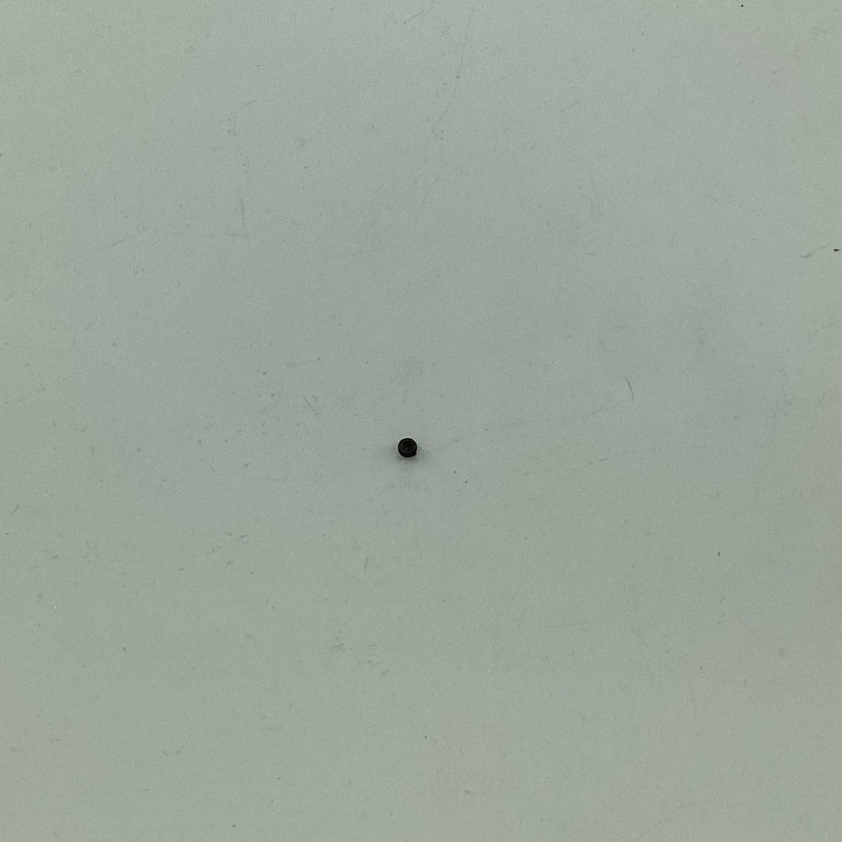 28A SCREW