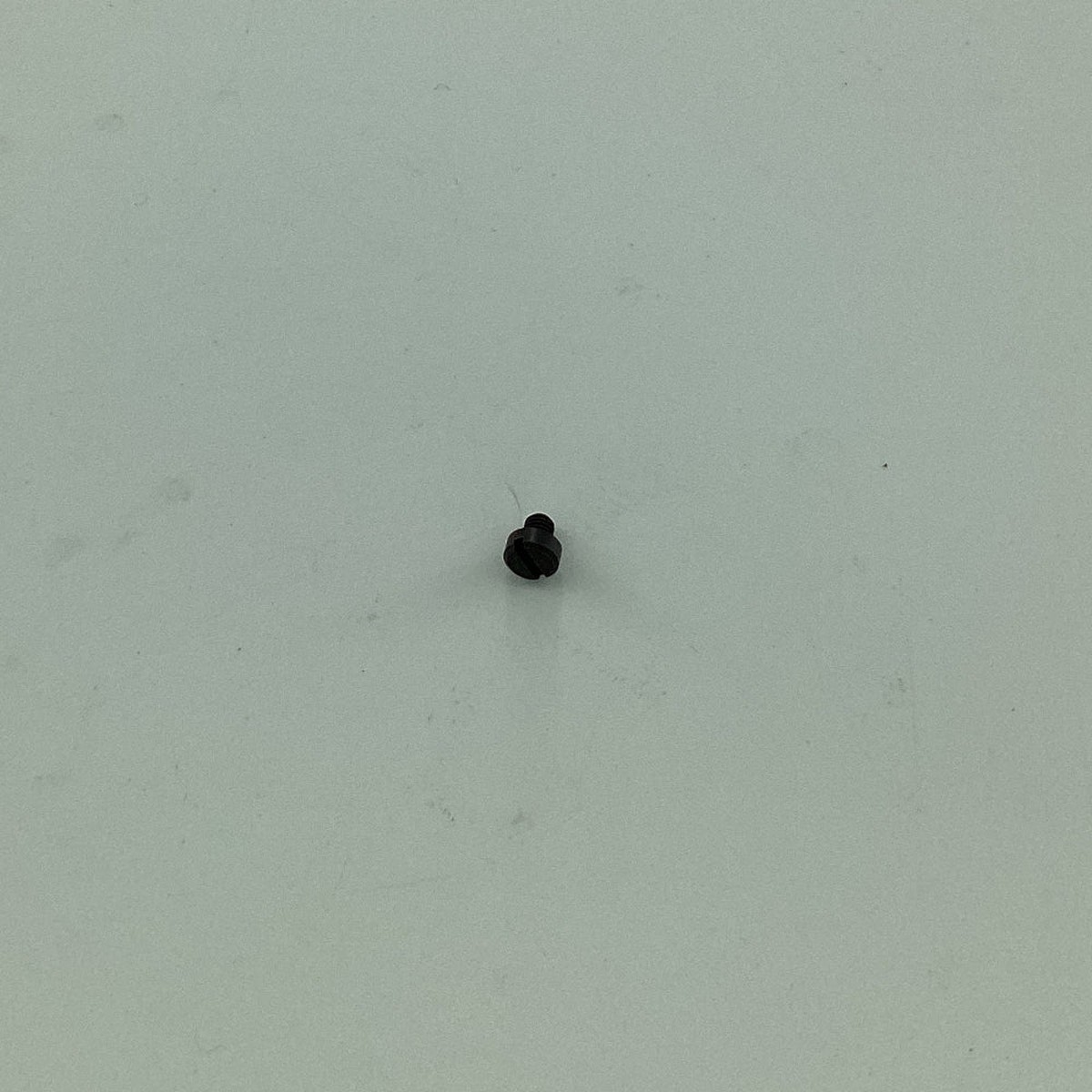 22561 SCREW